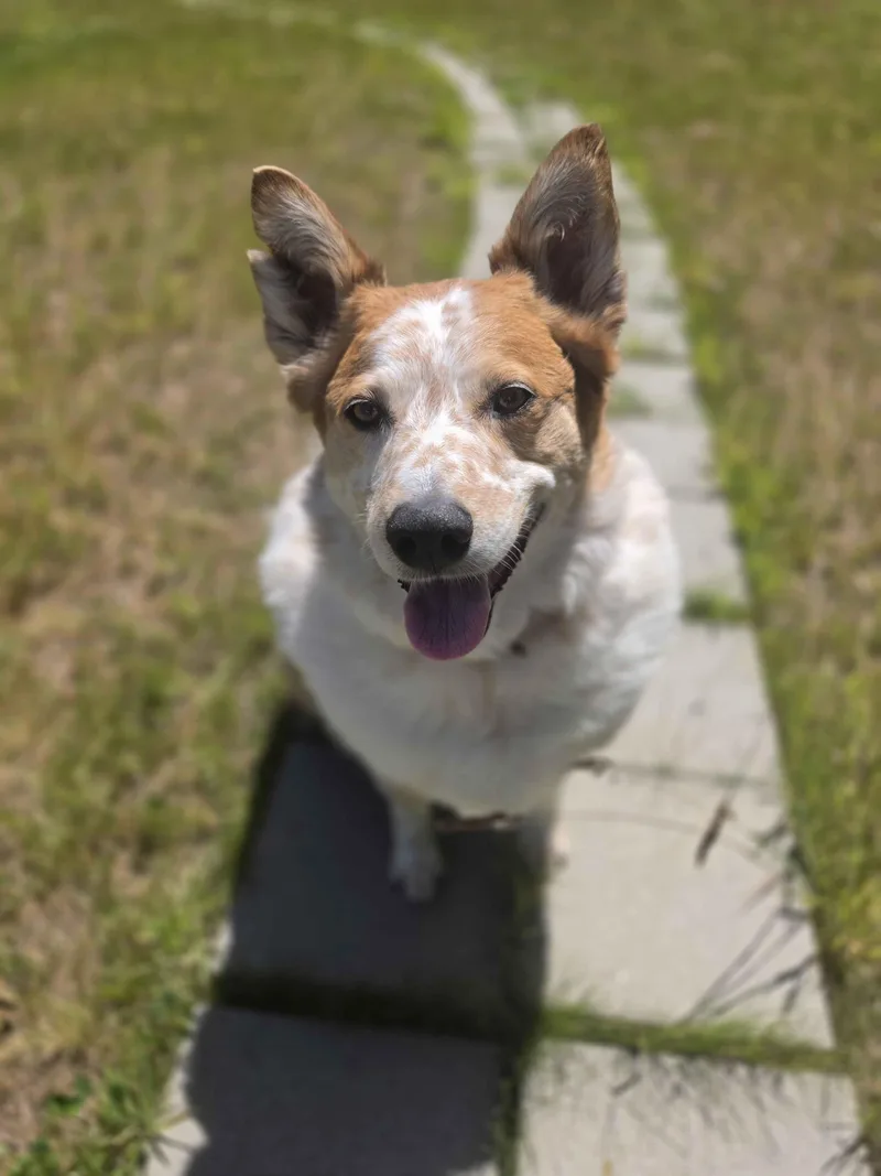 Murphy thumbnail 4