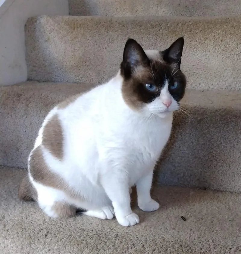 Lily