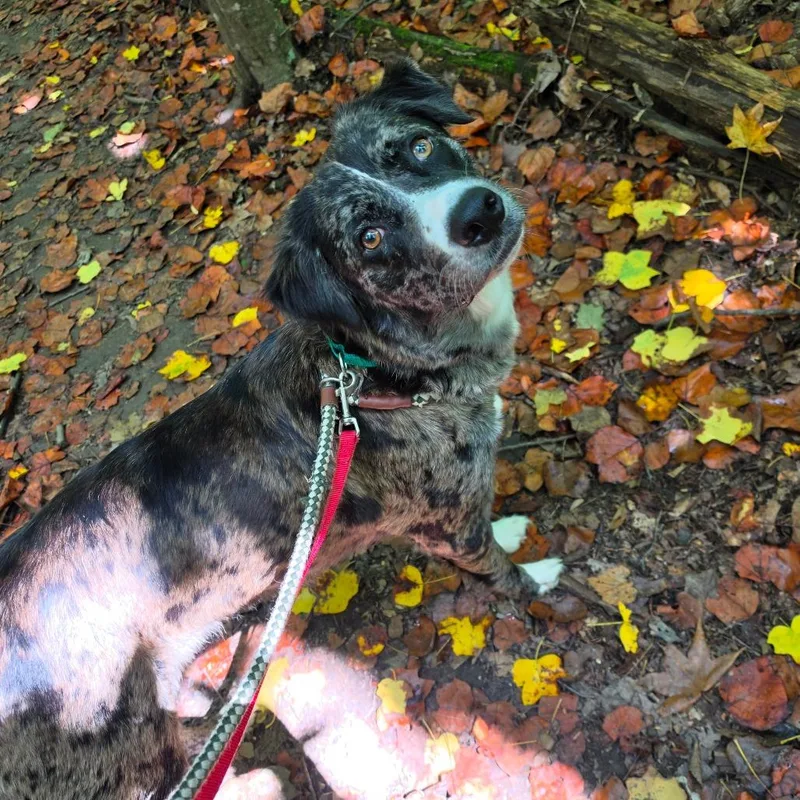 Elly Mae thumbnail 5