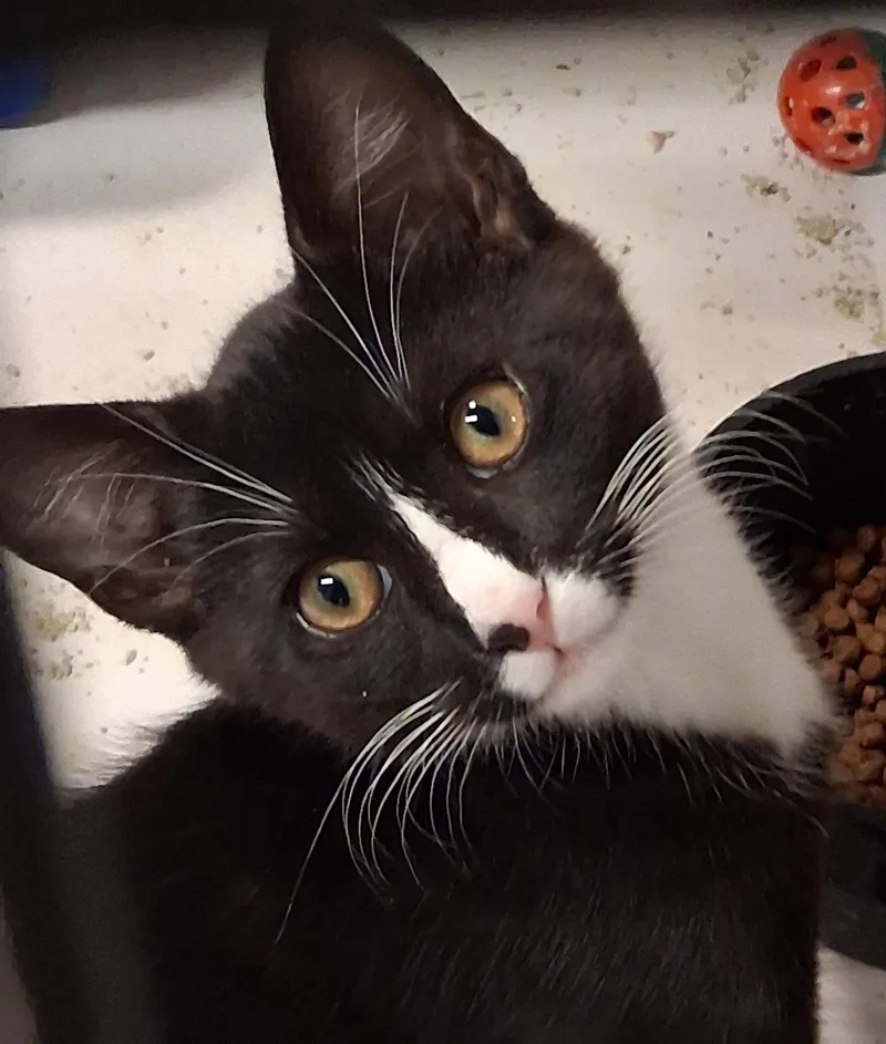 Jasper and Robbie thumbnail 6