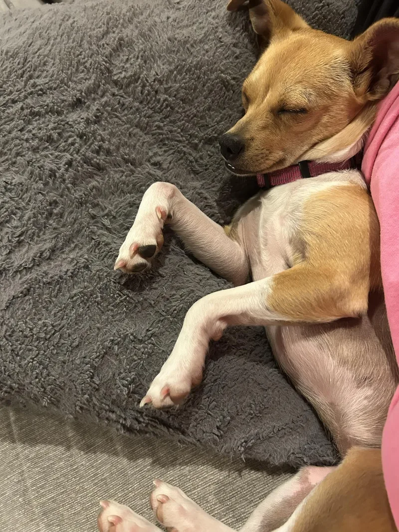 Wednesday thumbnail 2