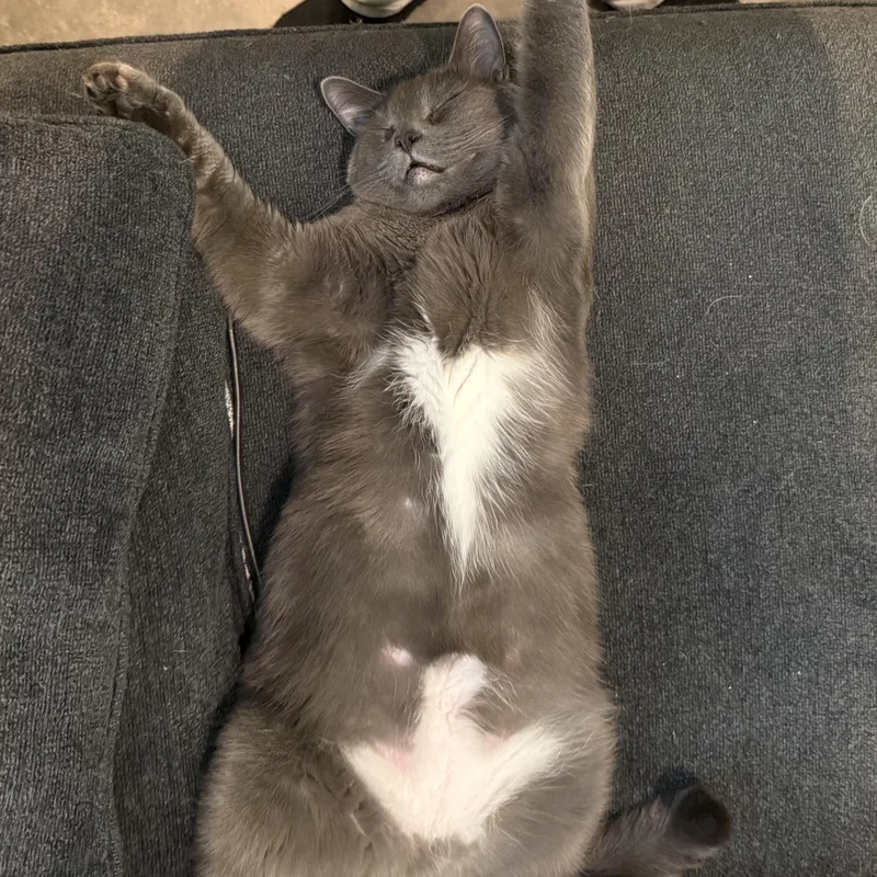 Gandalf The Gray thumbnail 2