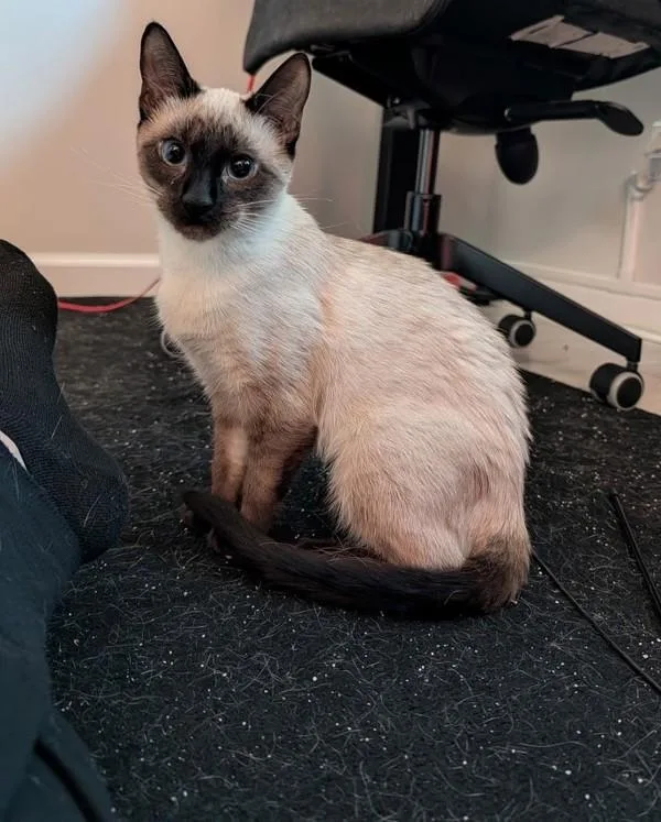 Max Mayfield thumbnail 2