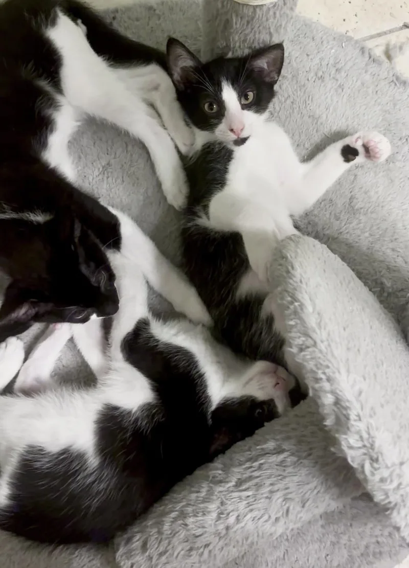 Max  Mason and thumbnail 2