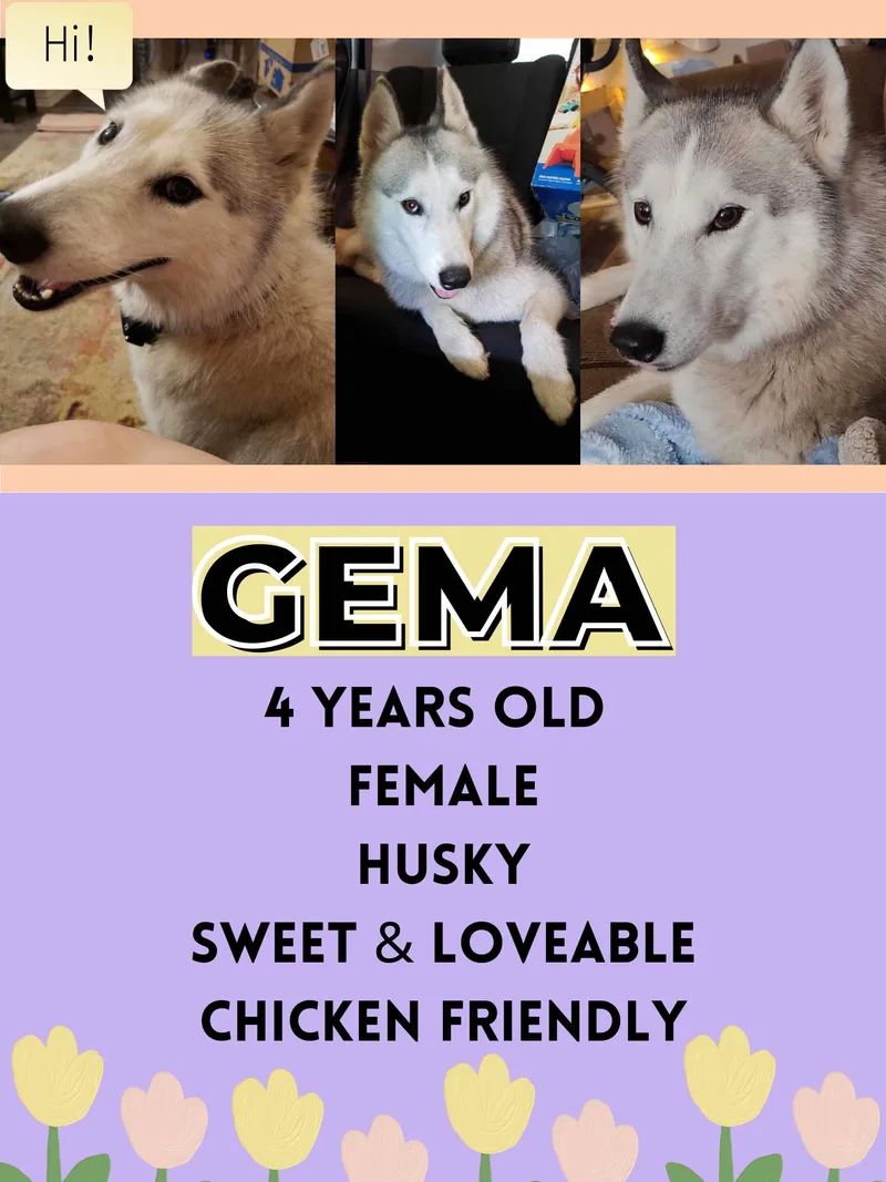 Gemma