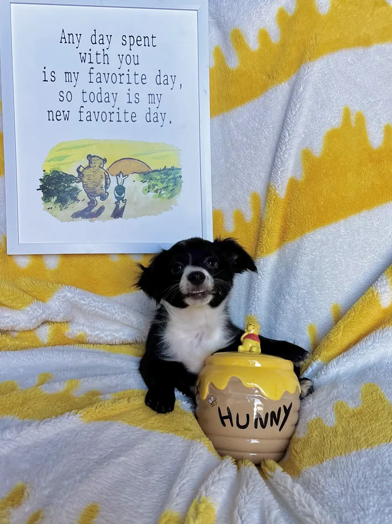 Eeyore  Winnie the thumbnail 4