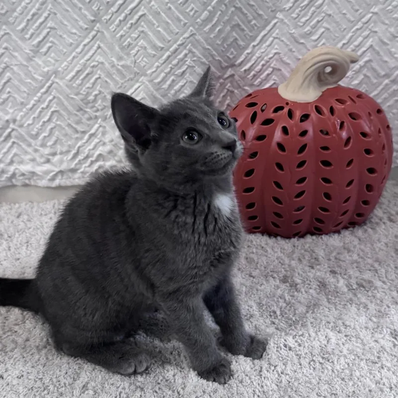 Sabrina thumbnail 3