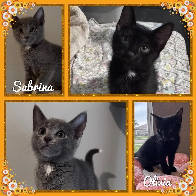 Sabrina thumbnail 5
