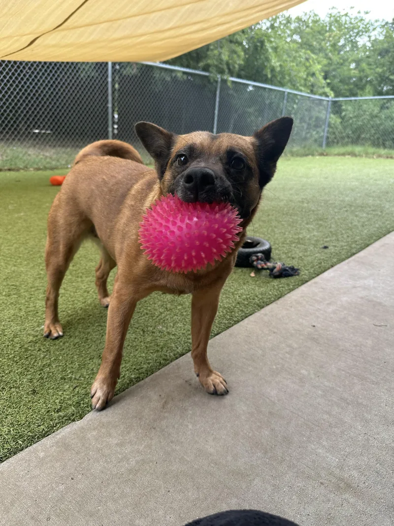 Jinjer Gdp thumbnail 2