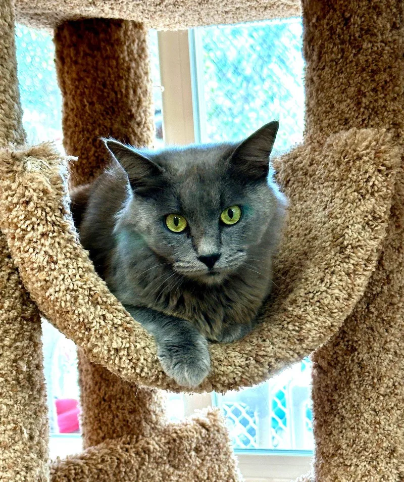 Margaret Mary thumbnail 2