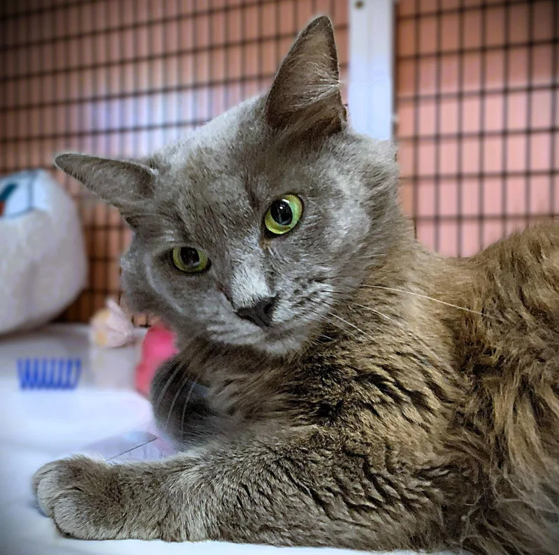 Margaret Mary thumbnail 3