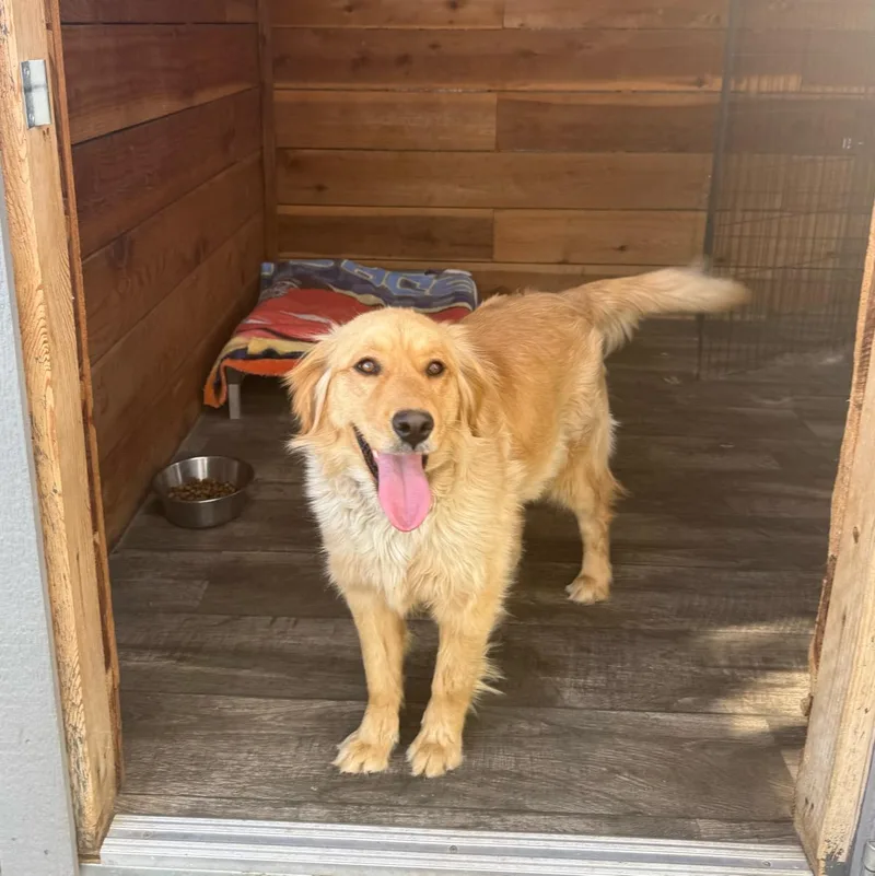 Brittney thumbnail 2