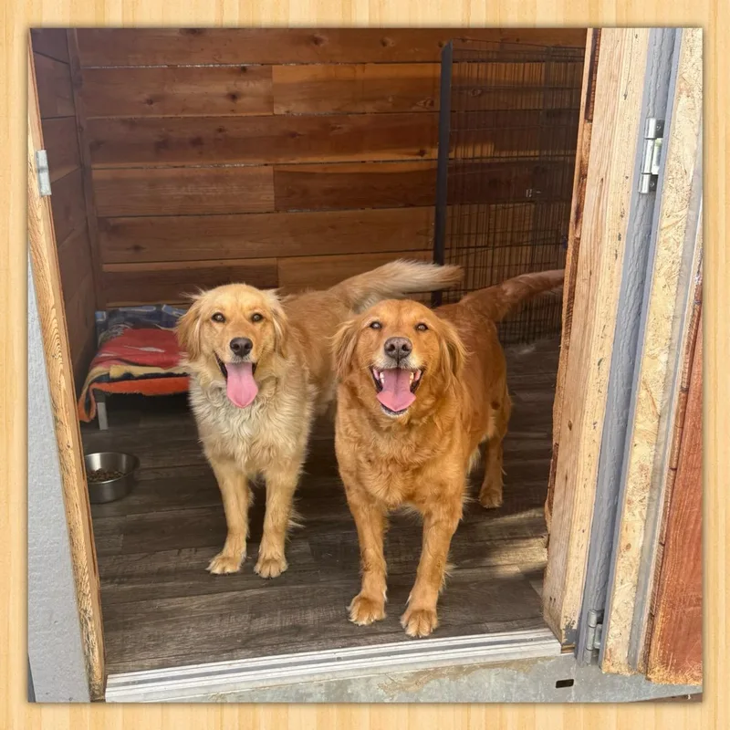 Brittney thumbnail 3