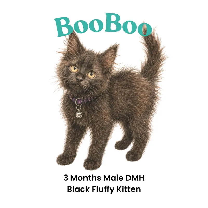 BooBoo