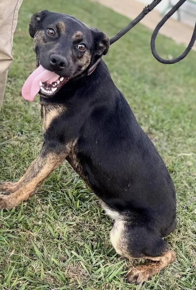 Steely D thumbnail 2