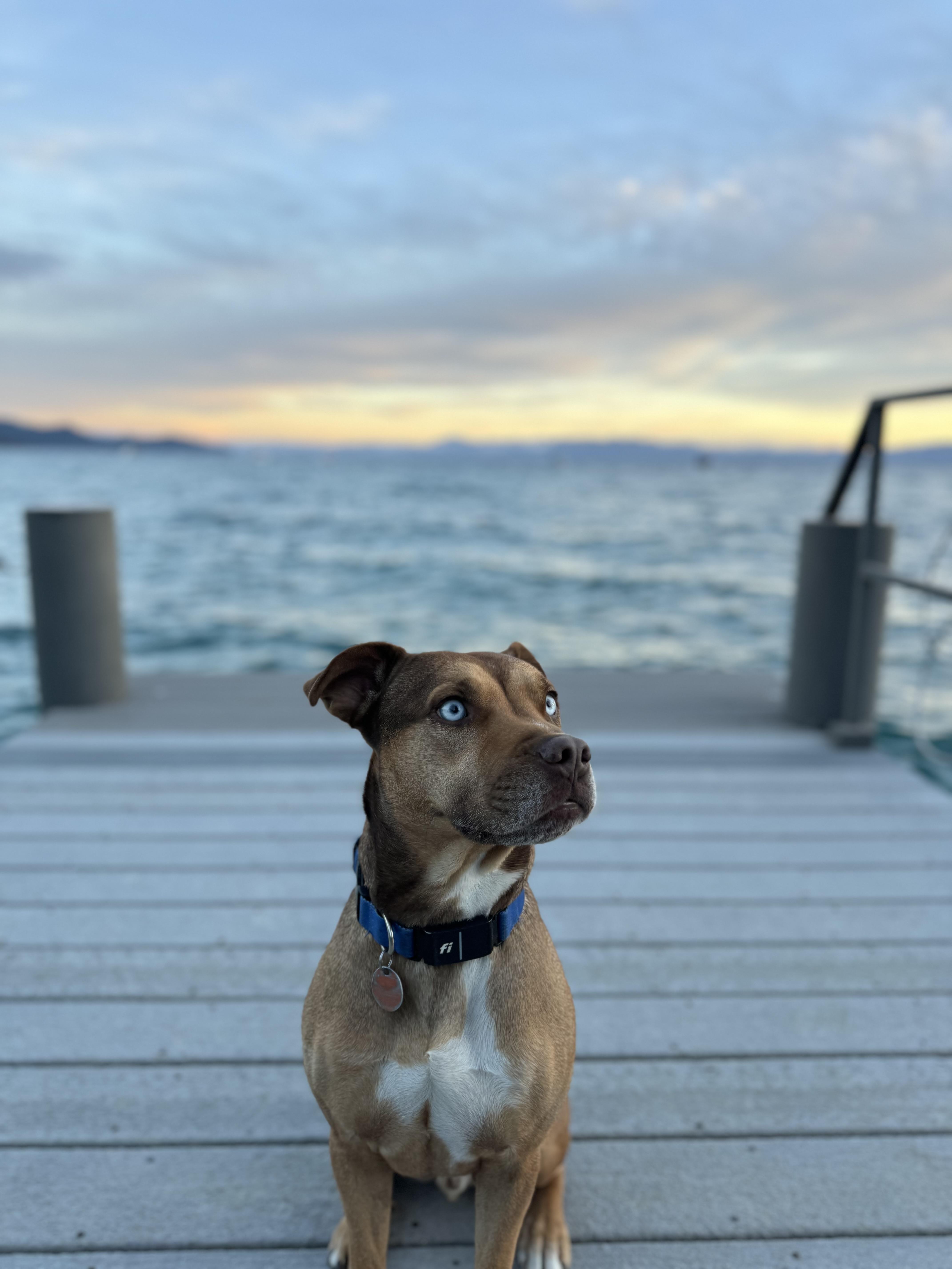 Courtesy Listing Hugo