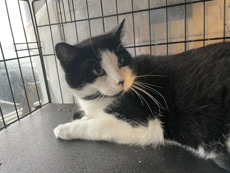 Donovan & Duane Bonded thumbnail 2