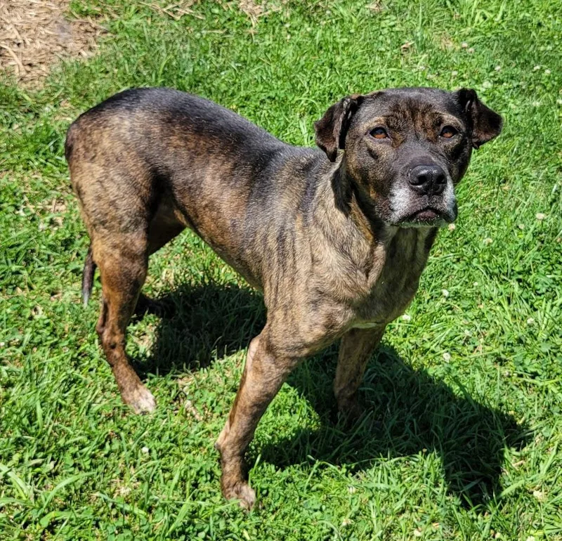 Ellie