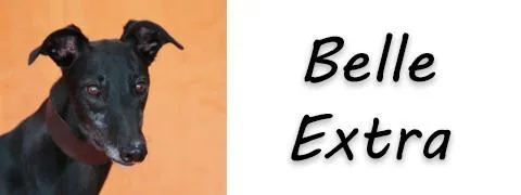 Belle Extra thumbnail 2