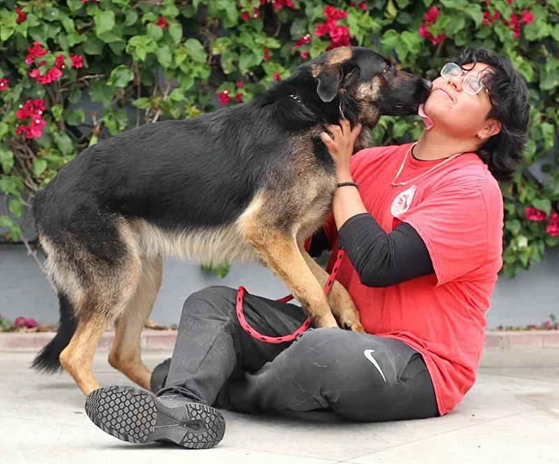 Sawyer von Scheden thumbnail 6