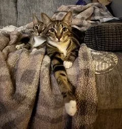 Bonkers & Dottie  thumbnail 3