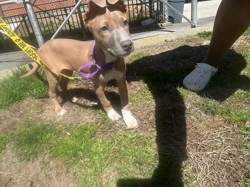 Aquarius thumbnail 2