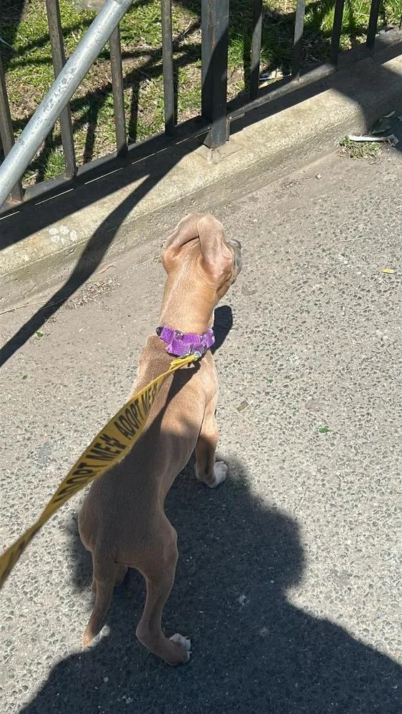 Aquarius thumbnail 4