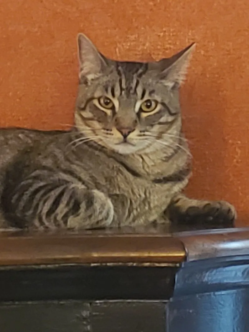 Nathaniel thumbnail 3