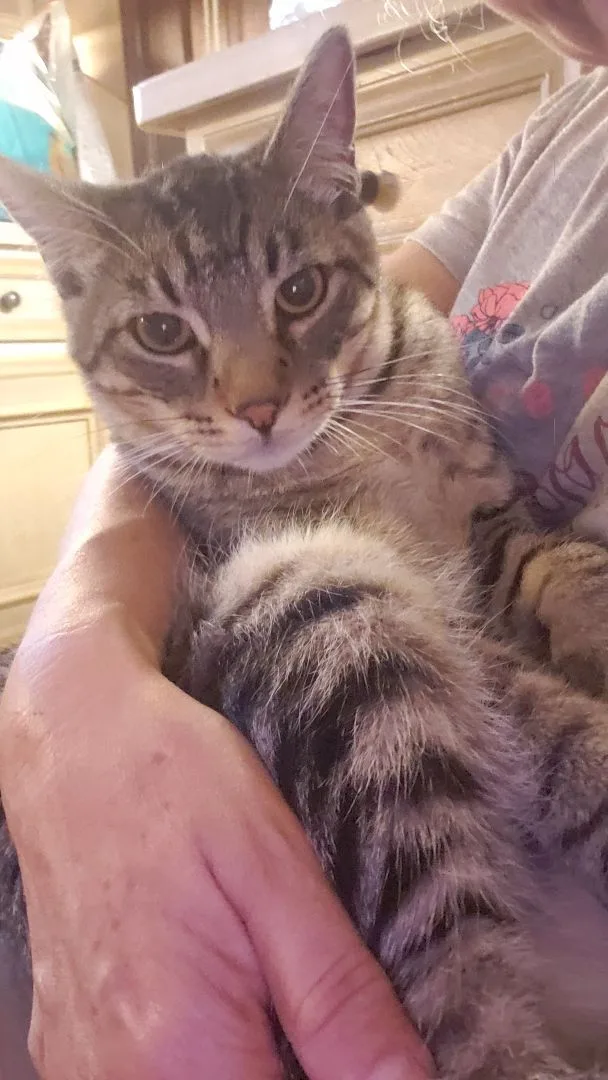 Nathaniel thumbnail 4