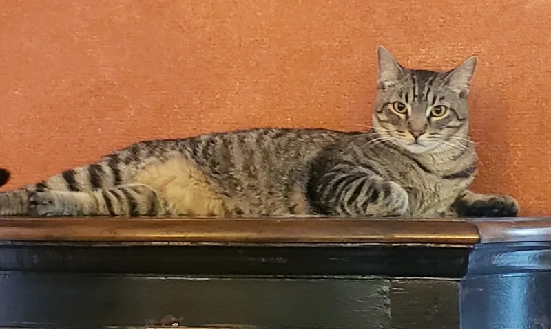 Nathaniel thumbnail 5