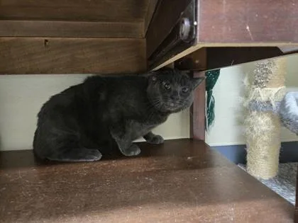 Kenny Of thumbnail 2