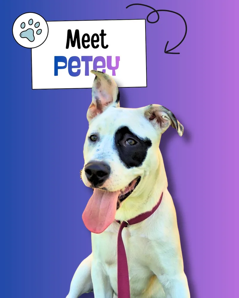 Petey