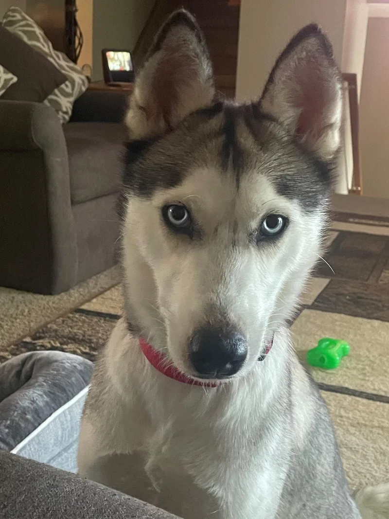 Skye