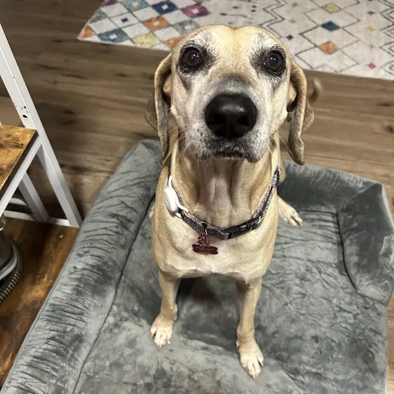 Emmabella thumbnail 2