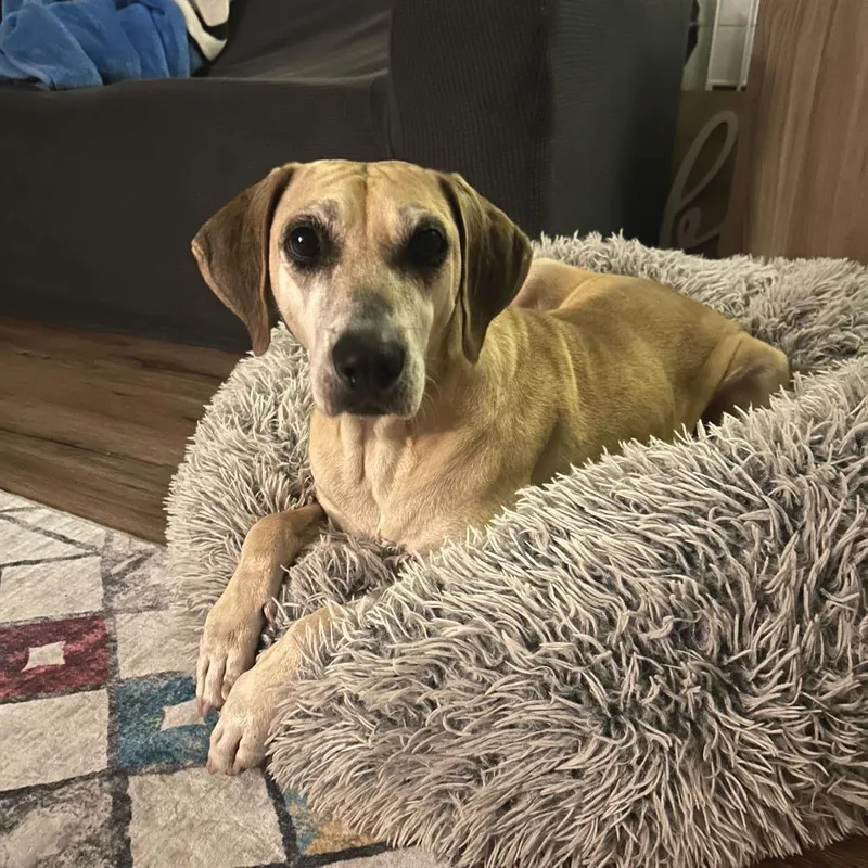 Emmabella thumbnail 4