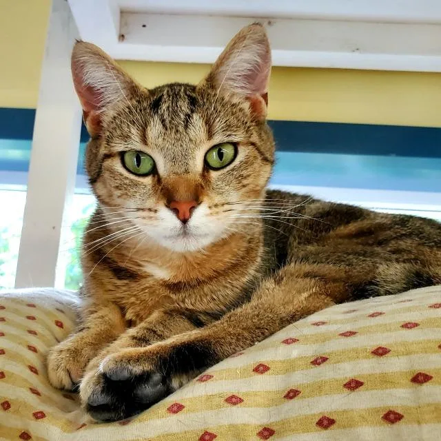 Marie Osborn thumbnail 2