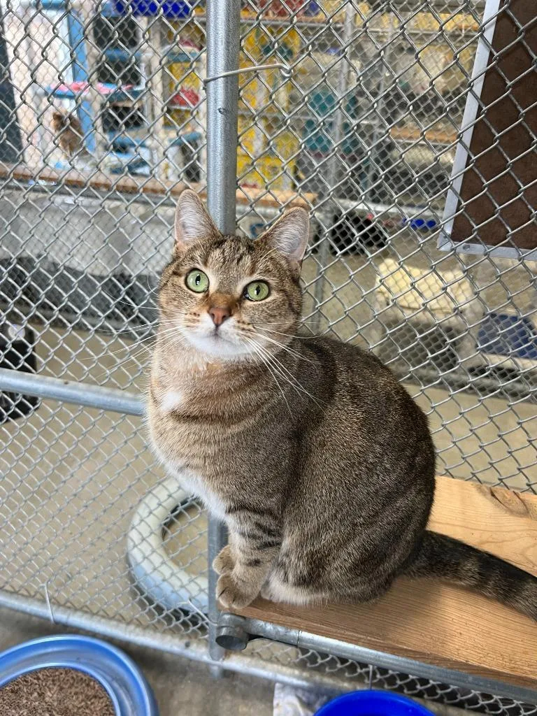 Marie Osborn thumbnail 3