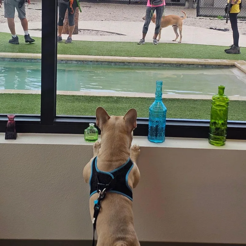 Kingston thumbnail 2