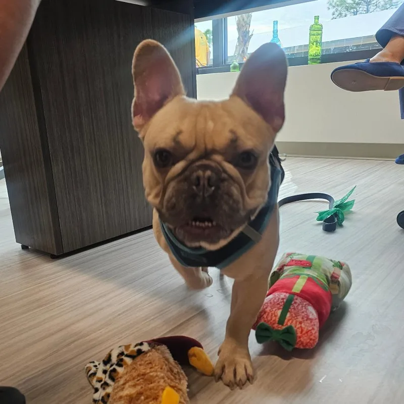 Kingston thumbnail 3