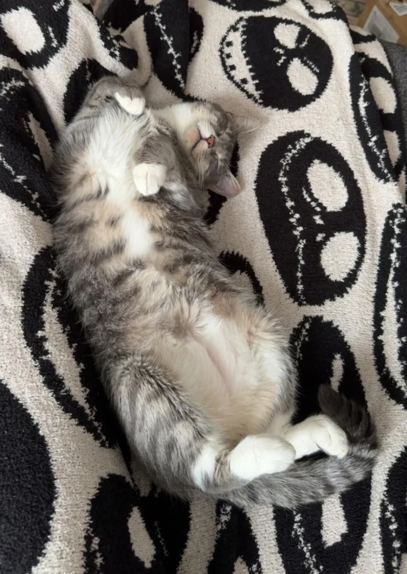 Penelope thumbnail 5