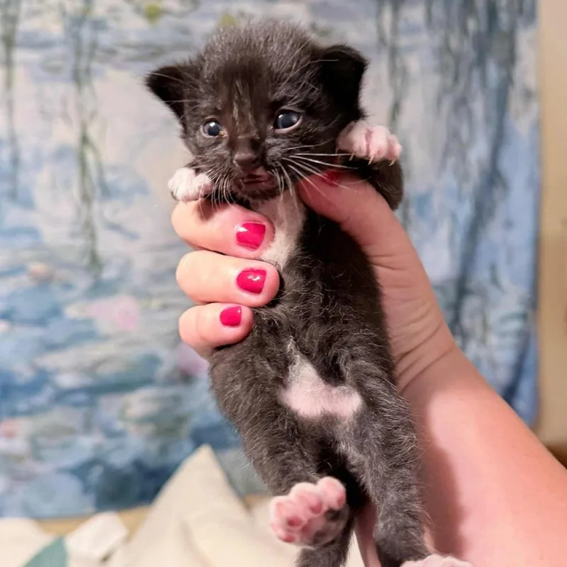 Buster Em thumbnail 3