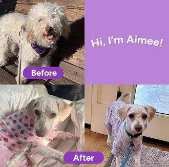 Aimee D thumbnail 2