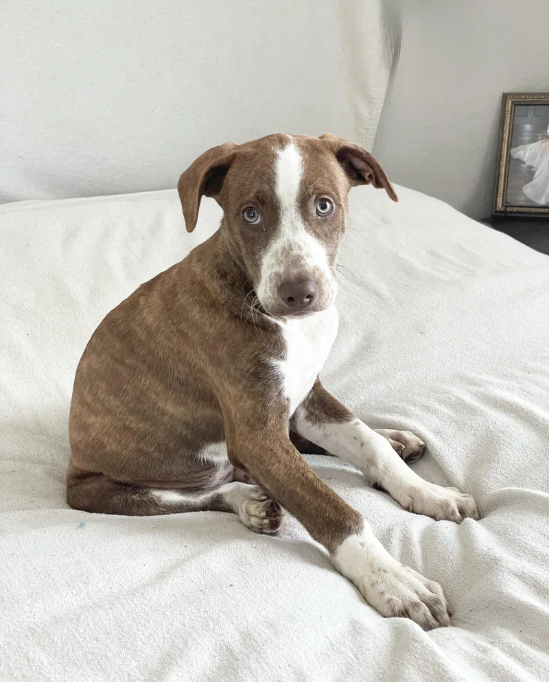 Jeter The Angel thumbnail 2