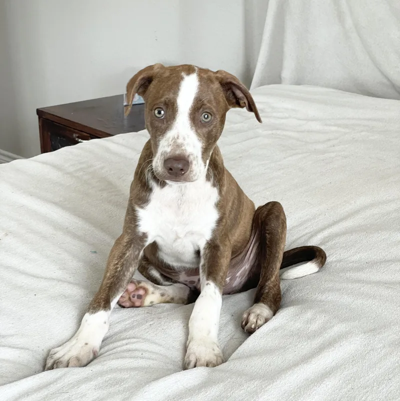 Jeter The Angel thumbnail 3