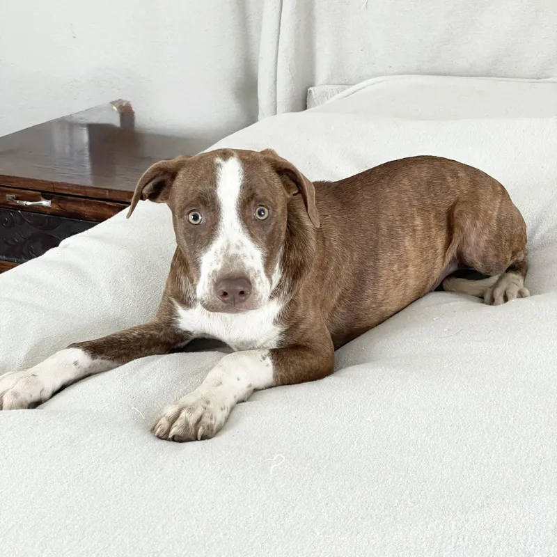 Jeter The Angel thumbnail 5