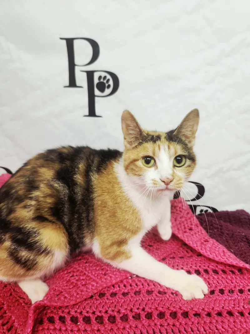 Naomi thumbnail 3