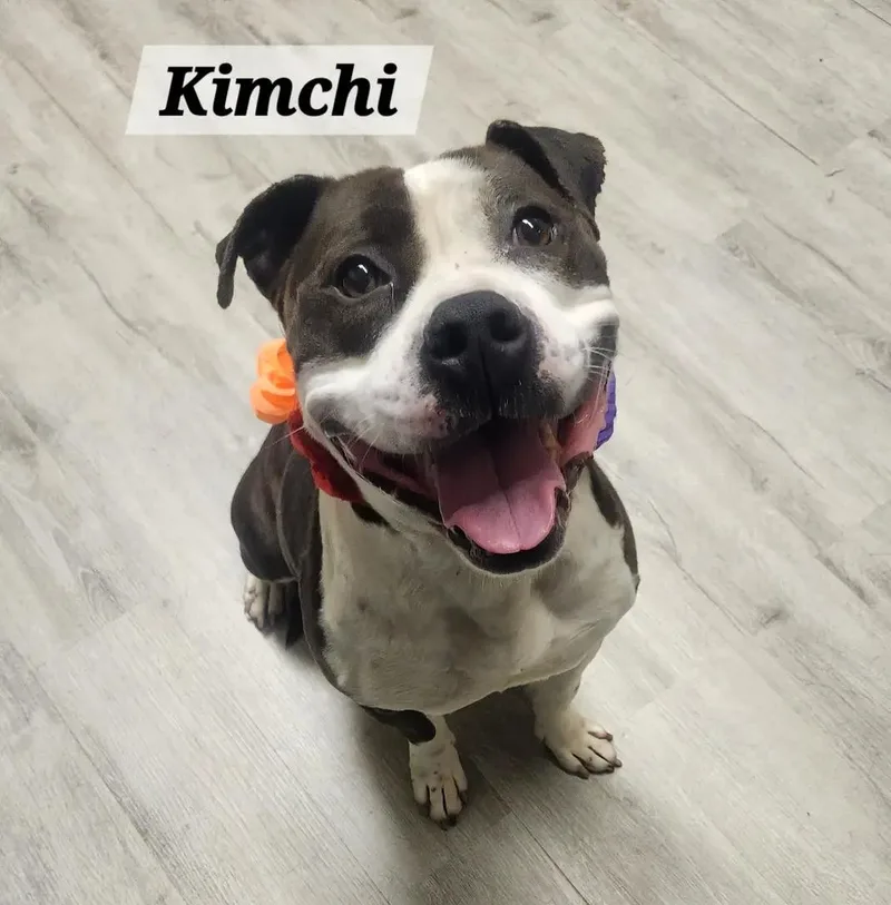 Kimchi thumbnail 3