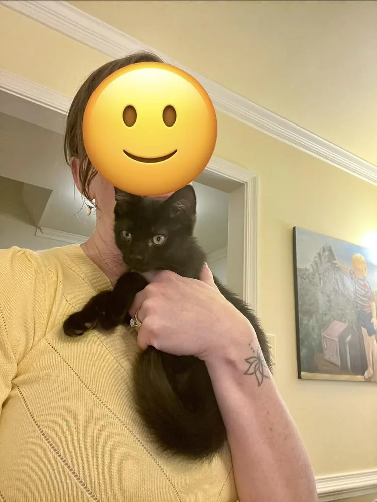 Bartholomew thumbnail 4