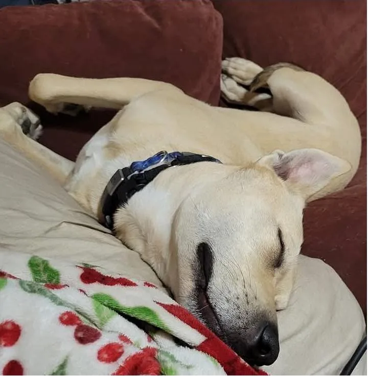 Cider   Year thumbnail 5