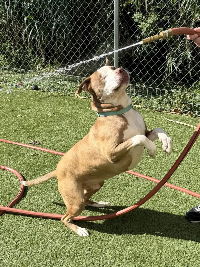 Theodore thumbnail 3